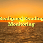 Realigned Exuding Monitoring