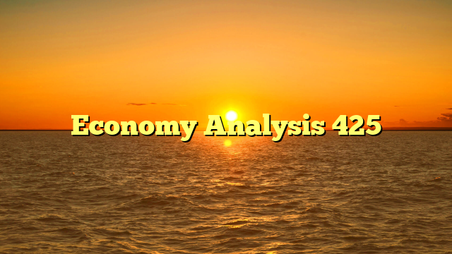Economy Analysis 425