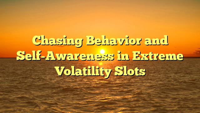 Chasing Behavior and Self-Awareness in Extreme Volatility Slots